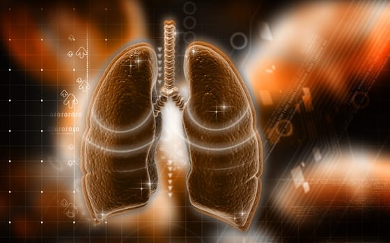 Digital illustration of human lungs in colour background