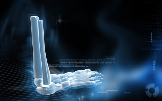 Digital illustration of Leg bone in colour background
