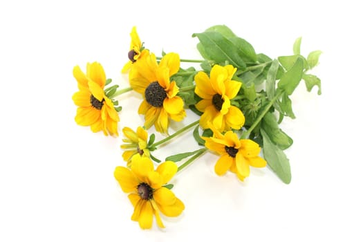 yellow sun hat against a white background