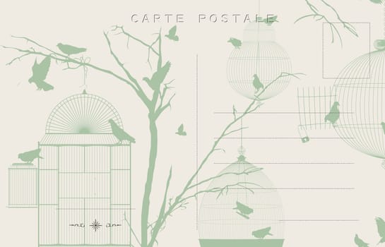 Vintage postcard with birds and bird cages