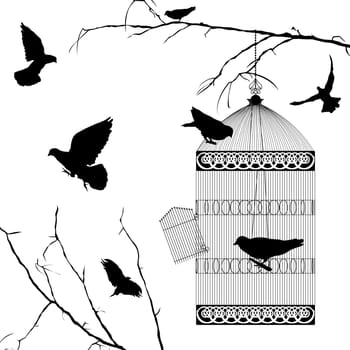 Flying birds and cage silhouettes over white background