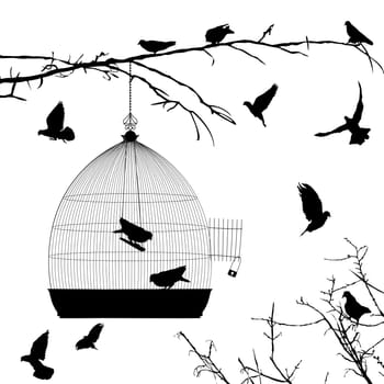 Birds silhouettes and bird cage over white background