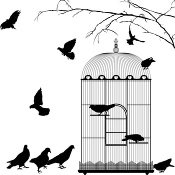 Birdcage and birds silhouettes over white background