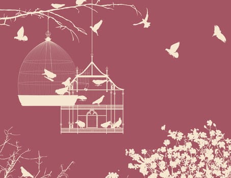 Birds and birdcages vintage background