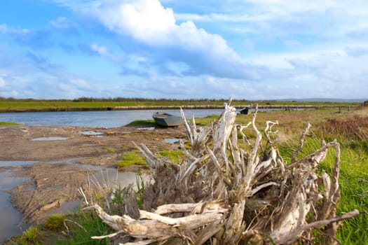 bog oak and old row boats on the bank of the river Cashen in county Kerry Ireland