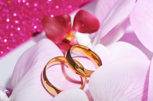 Two golden rings in pink orchid on pink glitter background