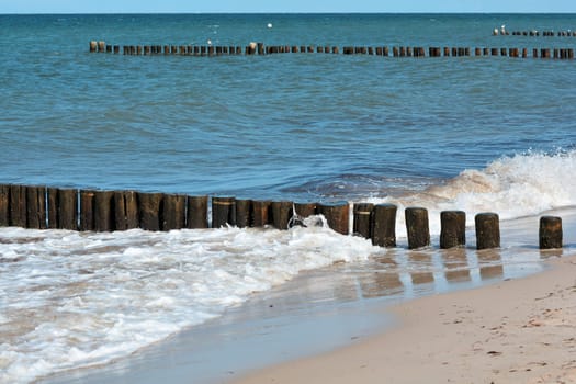 Beach of the Baltic Sea