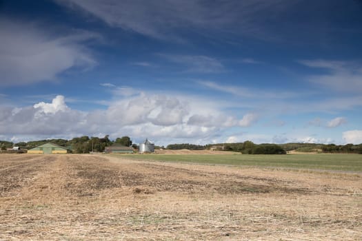 Farm with silo in the fields around Tryggelev,Langeland