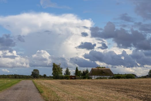 Thatched cottage near the small town of Tryggelef,Langeland