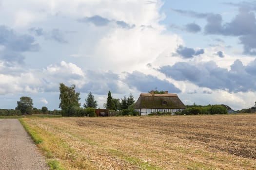 Thatched cottage near the small town of Tryggelef,Langeland