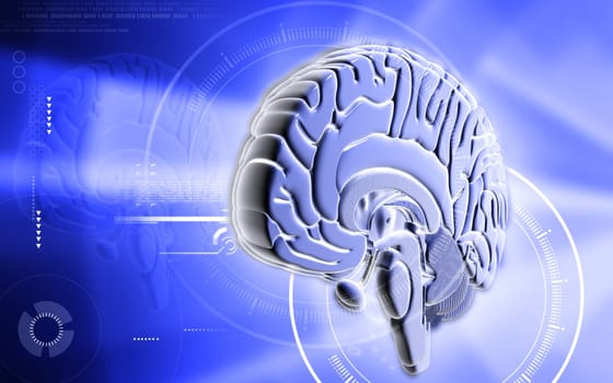 Digital illustration of brain in colour background