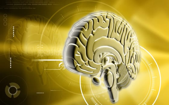 Digital illustration of brain in colour background