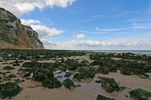Cote d'Opale