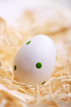 Easter egg on straw