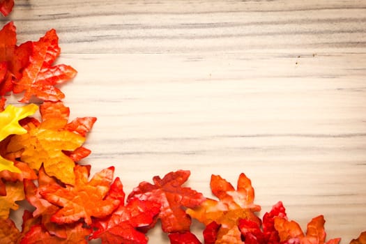 colorful leaves on a rustic wooden background