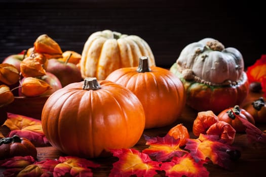 Traditional pumpkins for Thanksgiving and Halloween in warm colors