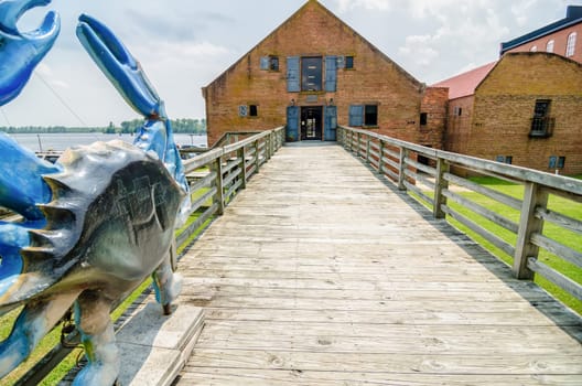 waterfront scenes in little washington north carolina