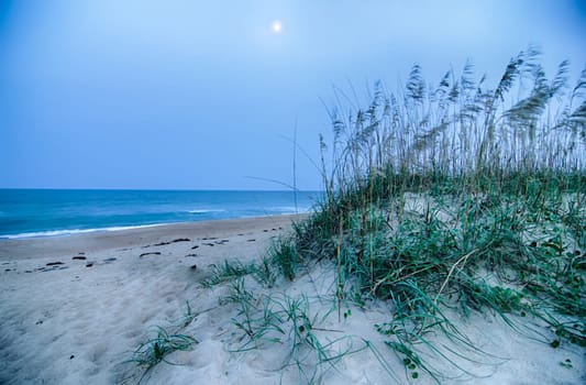 Beautiful empty beach at sunrise with dune vegetation