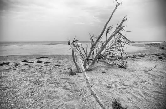Cape Hatteras National Seashore on Hatteras Island North Carolina USA