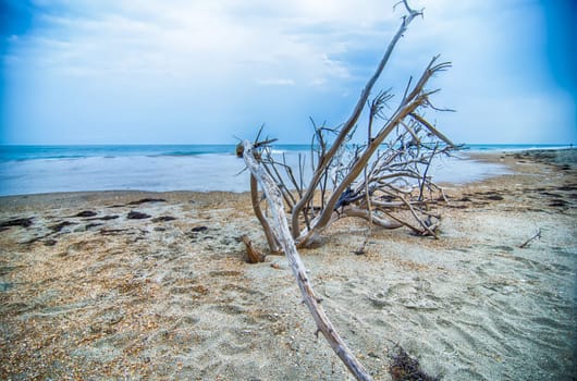 Cape Hatteras National Seashore on Hatteras Island North Carolina USA