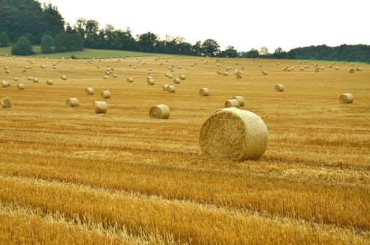 Straw bales