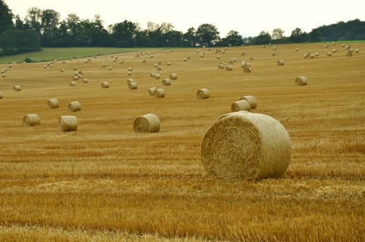 Straw bales
