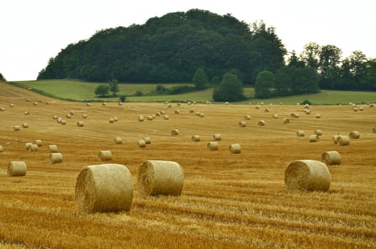 Straw bales