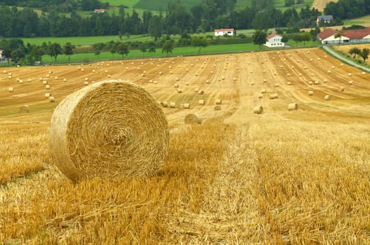 Straw bales