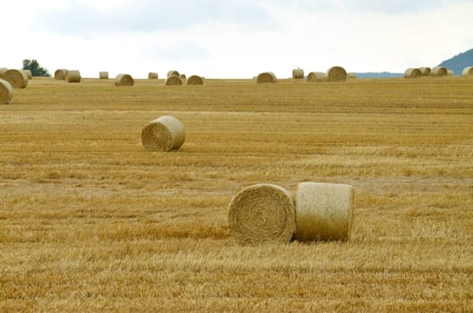 Straw bales