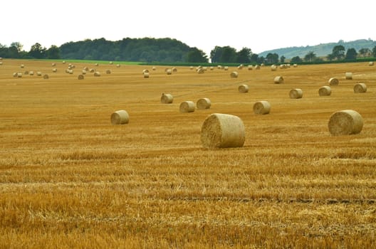Straw bales