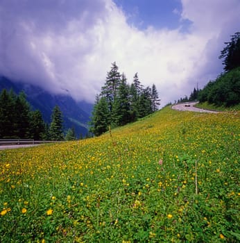 Mountain Road in Austrian Alps