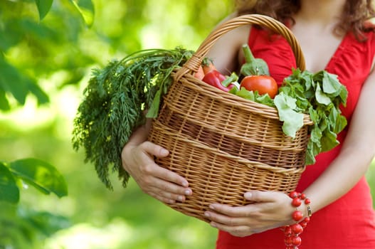 Fresh vegetable in basket