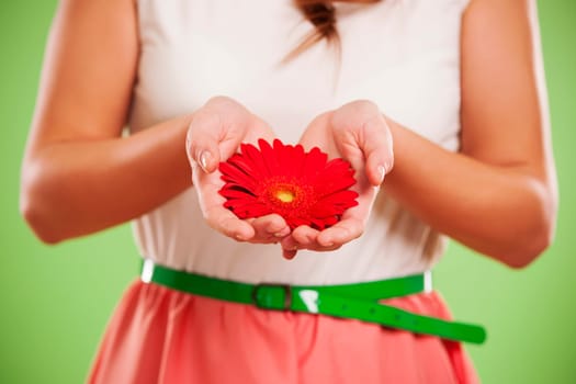 Gerbera in hands