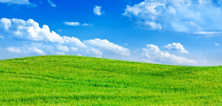 Contrast between the hills of a barley field and a cloudy blue sky