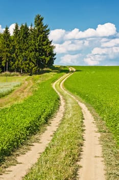 Landscape composed of a winding road, field and cloudy blue sky