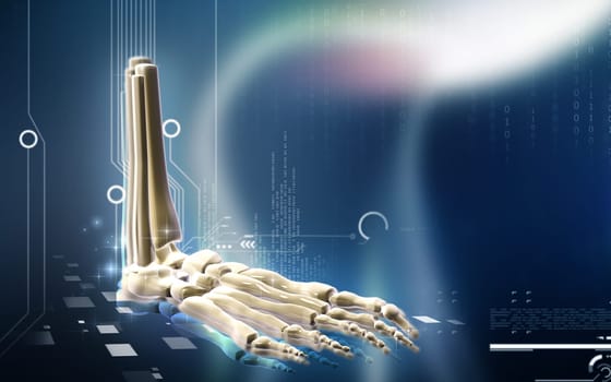 Digital illustration of Leg bone in colour background
