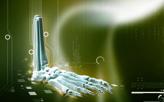 Digital illustration of Leg bone in colour background