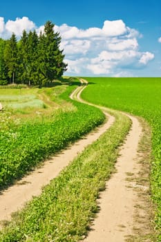 Landscape composed of a winding road, field and cloudy blue sky