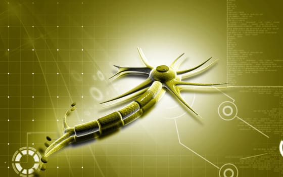 Digital illustration of neuron in colour background
