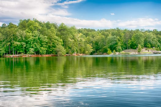 lake wylie reflections of trees