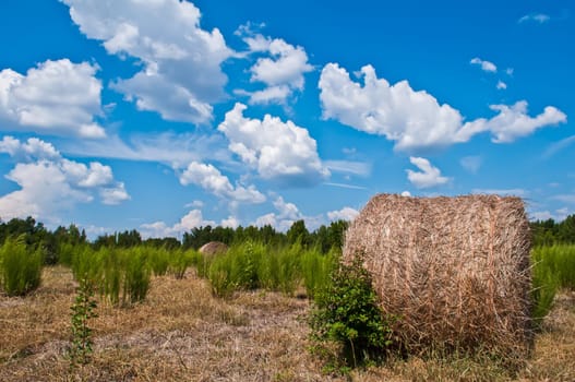 hay-roll on meadow against sunset background