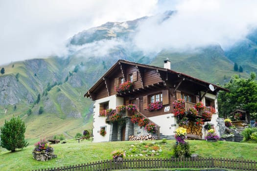 FERRET, SWITZERLAND - AUGUST 30