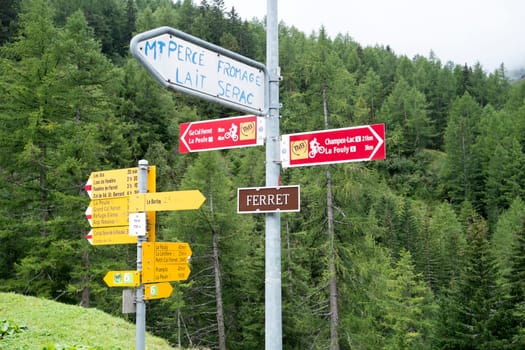FERRET, SWITZERLAND - AUGUST 30