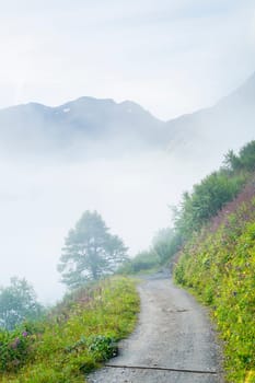 Atmospheric misty road with faint tree shape and mountain range in the background.