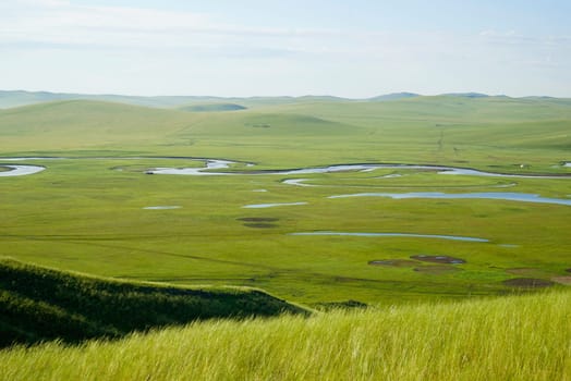 Grasslands
