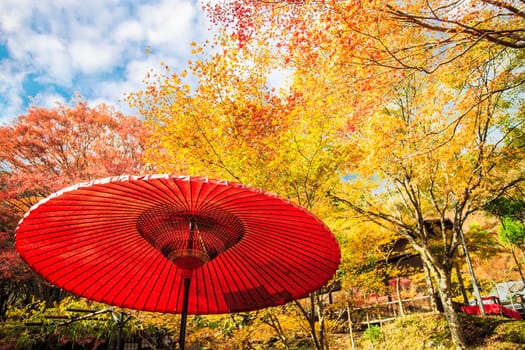 Kyoto, Jpana - November 20, 2013