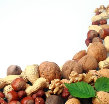 Variety of fresh culinary nuts as a corner border on a square format white background including almonds, hazelnuts, brazil nuts, peanuts and walnuts shelled and in their shells