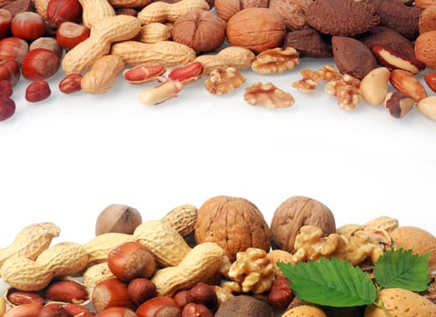 Double border of a selection of fresh nuts including almonds, hazelnuts, brazil nuts, peanuts and walnuts both shelled and in their shells on white with central copyspace