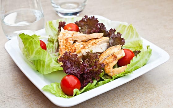 A plate of spicy grilled chicken breast on a green salad, with cherry tomatoes