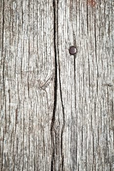 Background composed of planks of old wood and a nail
